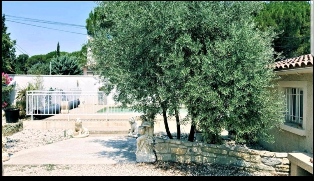 Suite Parentale Avec Petit Sejour Et Piscine Carpentras Dış mekan fotoğraf